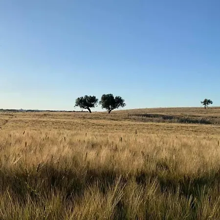 Maison Colline Du 滨海库普拉